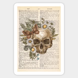 Vintage human anatomy Sticker